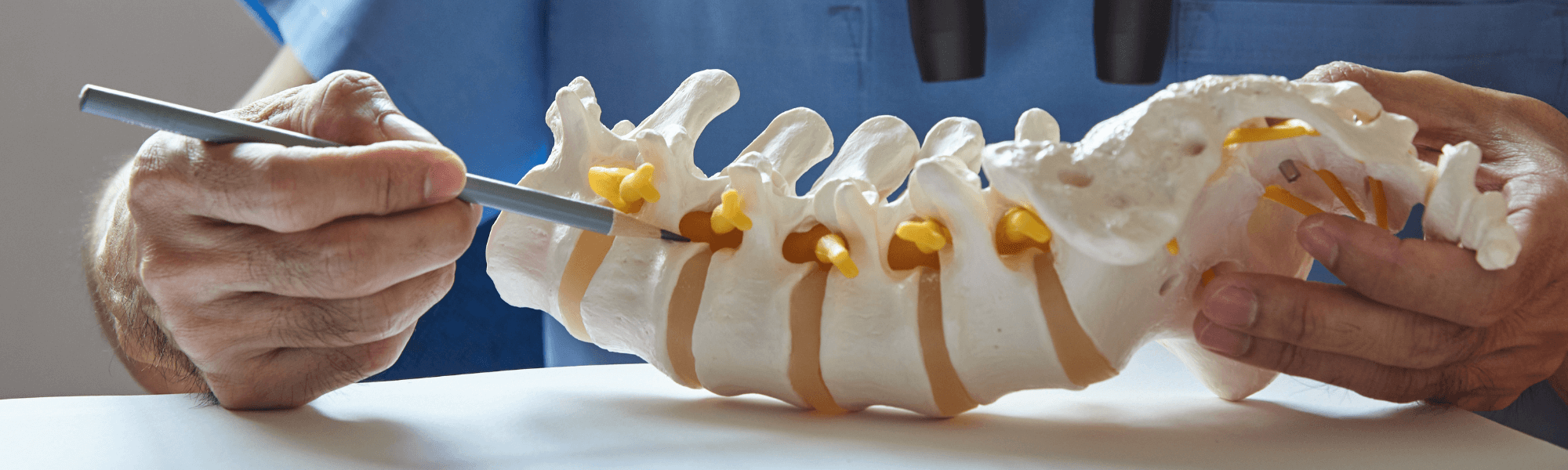 chiropractor examining spine