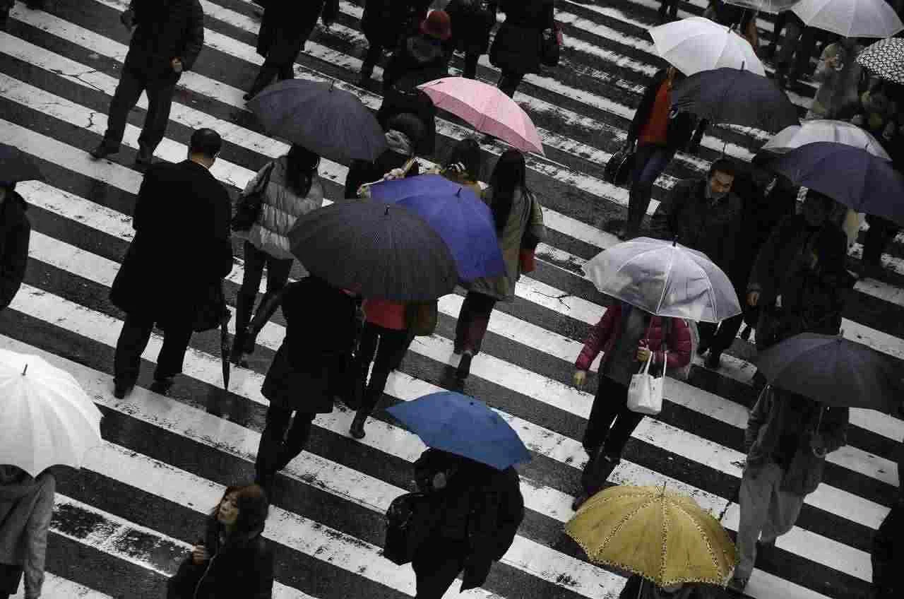 people in crosswalk